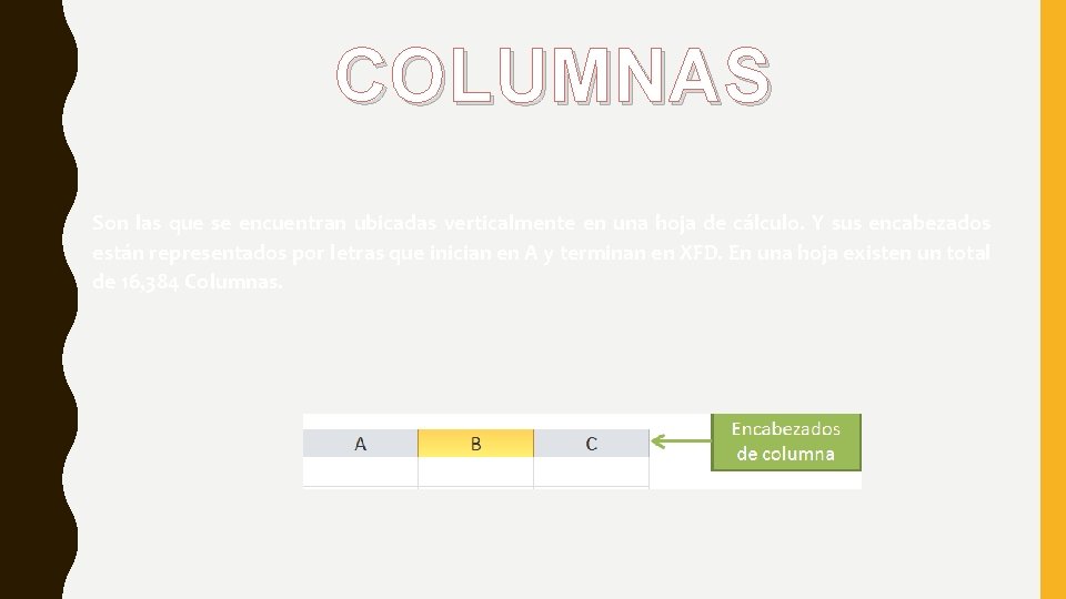 COLUMNAS Son las que se encuentran ubicadas verticalmente en una hoja de cálculo. Y