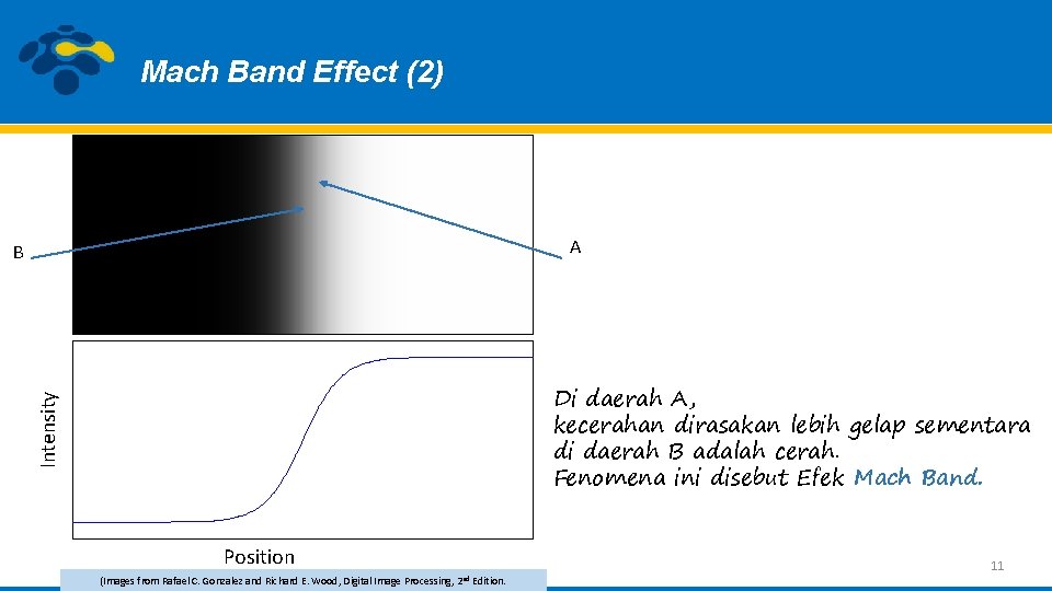 Mach Band Effect (2) A B Intensity Di daerah A, kecerahan dirasakan lebih gelap