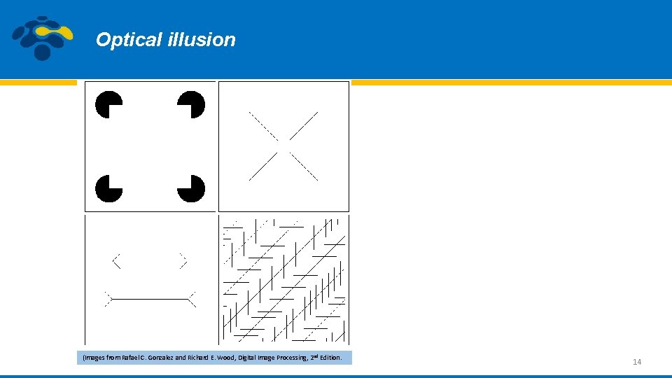 Optical illusion (Images from Rafael C. Gonzalez and Richard E. Wood, Digital Image Processing,