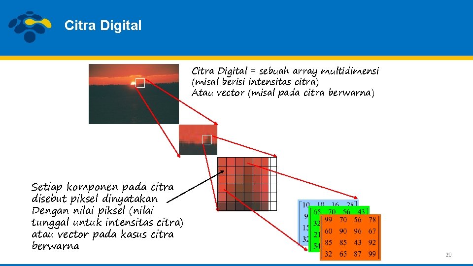 Citra Digital = sebuah array multidimensi (misal berisi intensitas citra) Atau vector (misal pada