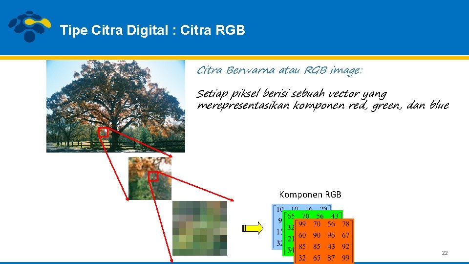 Tipe Citra Digital : Citra RGB Citra Berwarna atau RGB image: Setiap piksel berisi