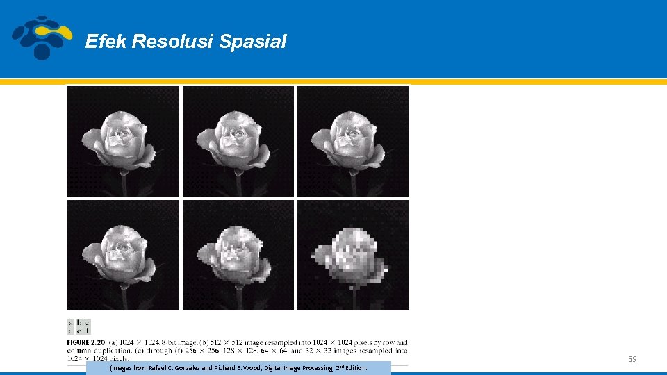 Efek Resolusi Spasial (Images from Rafael C. Gonzalez and Richard E. Wood, Digital Image