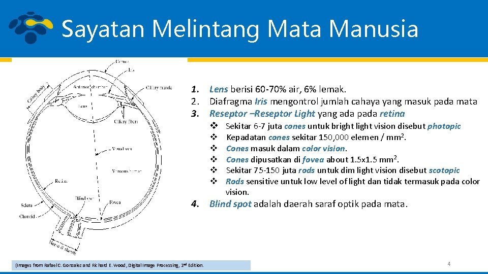 Sayatan Melintang Mata Manusia 1. Lens berisi 60 -70% air, 6% lemak. 2. Diafragma