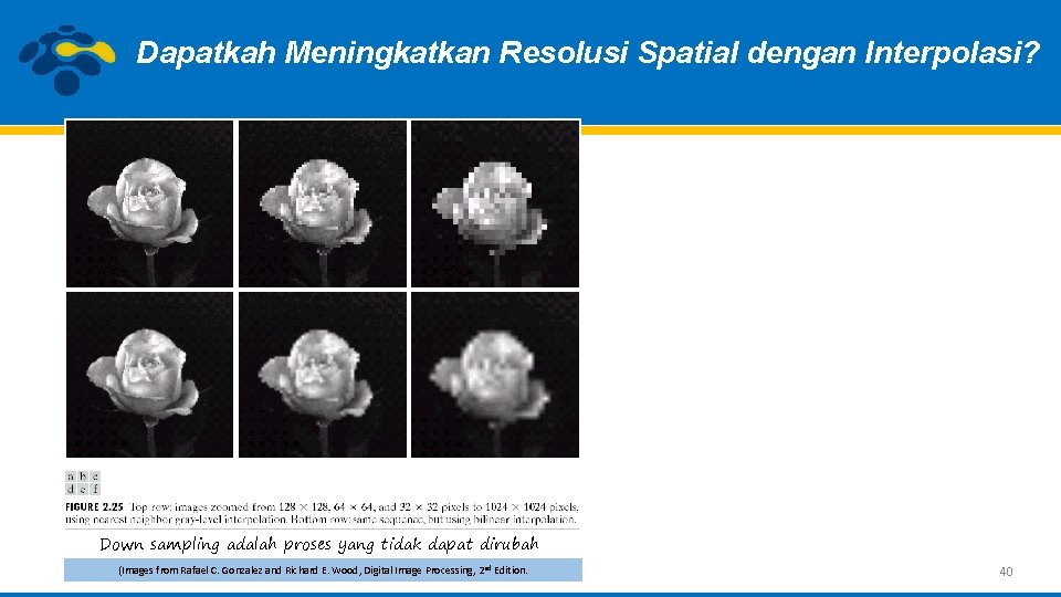 Dapatkah Meningkatkan Resolusi Spatial dengan Interpolasi? Down sampling adalah proses yang tidak dapat dirubah