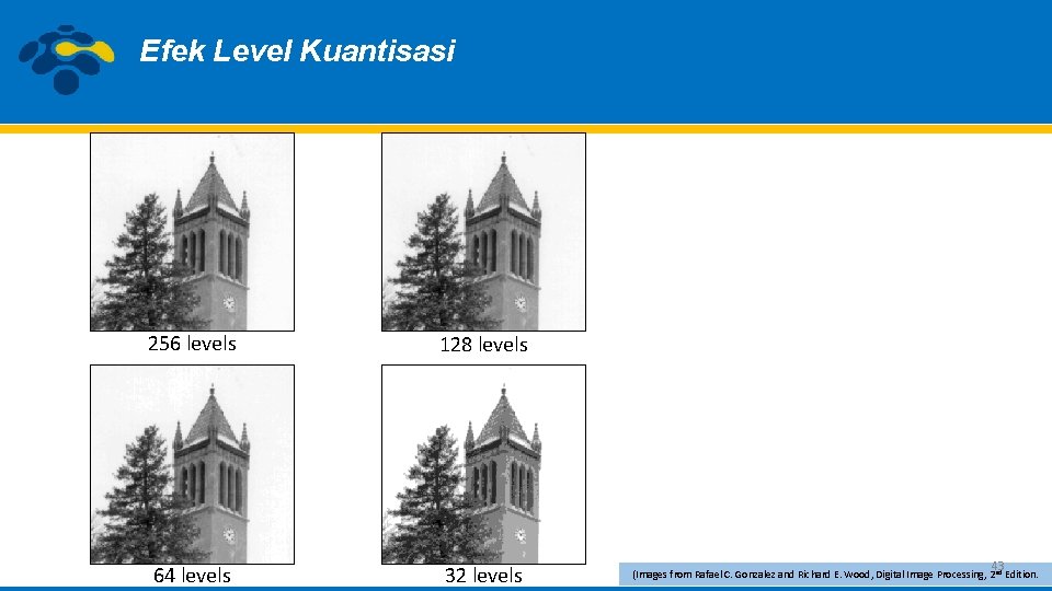 Efek Level Kuantisasi 256 levels 128 levels 64 levels 32 levels 43 (Images from