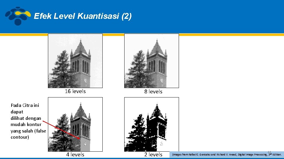 Efek Level Kuantisasi (2) 16 levels 8 levels 4 levels 2 levels Pada Citra