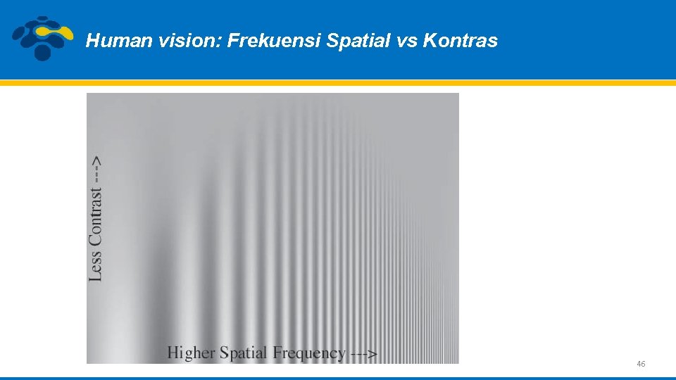 Human vision: Frekuensi Spatial vs Kontras 46 