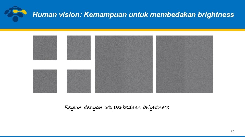 Human vision: Kemampuan untuk membedakan brightness Region dengan 5% perbedaan brightness 47 