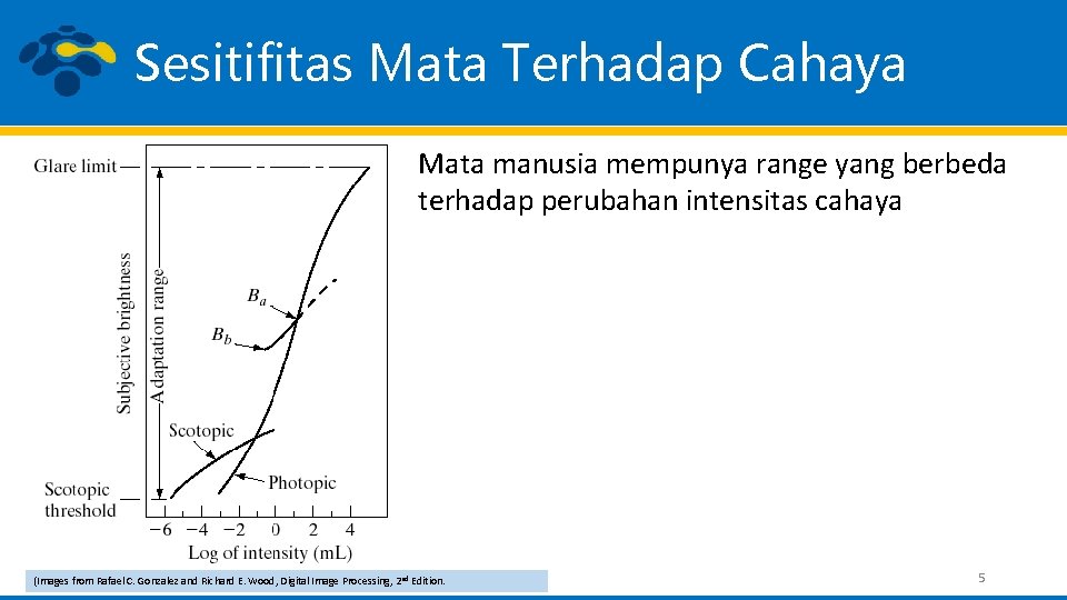 Sesitifitas Mata Terhadap Cahaya Mata manusia mempunya range yang berbeda terhadap perubahan intensitas cahaya