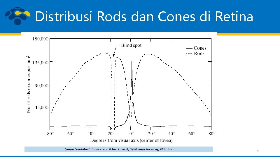 Distribusi Rods dan Cones di Retina (Images from Rafael C. Gonzalez and Richard E.