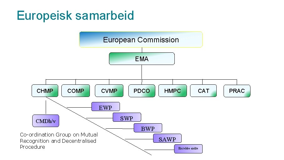 Europeisk samarbeid European Commission EMA CHMP COMP CVMP PDCO HMPC CAT EWP CMDh/v Co-ordination