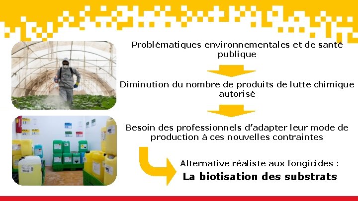 Problématiques environnementales et de santé publique Diminution du nombre de produits de lutte chimique