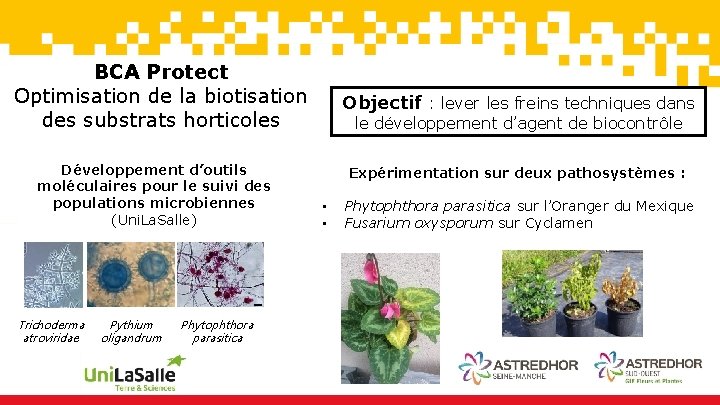 BCA Protect Optimisation de la biotisation des substrats horticoles Développement d’outils moléculaires pour le