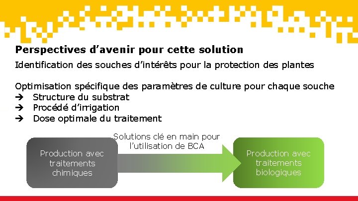 Perspectives d’avenir pour cette solution Identification des souches d’intérêts pour la protection des plantes