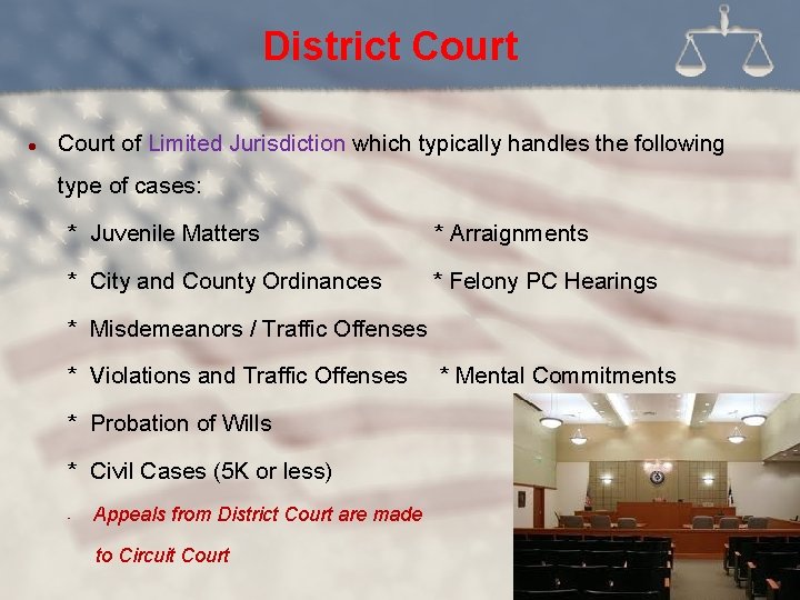 District Court l Court of Limited Jurisdiction which typically handles the following type of