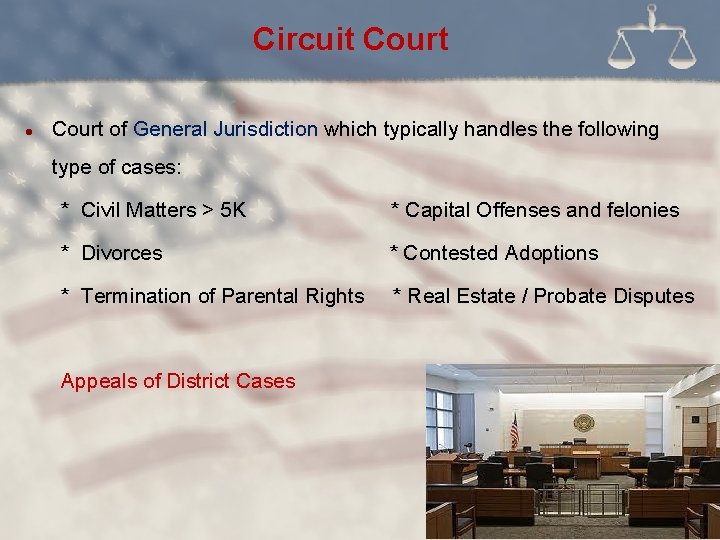 Circuit Court l Court of General Jurisdiction which typically handles the following type of