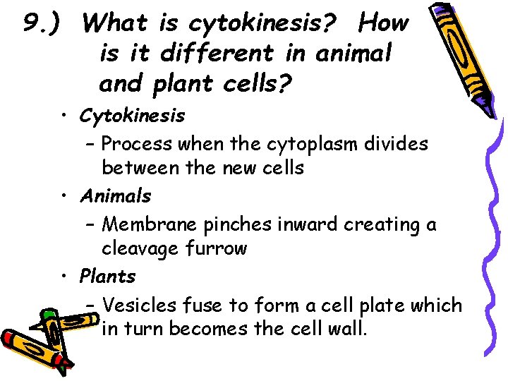 9. ) What is cytokinesis? How is it different in animal and plant cells?