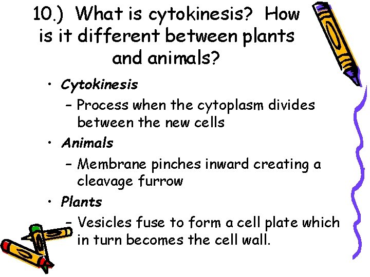 10. ) What is cytokinesis? How is it different between plants and animals? •