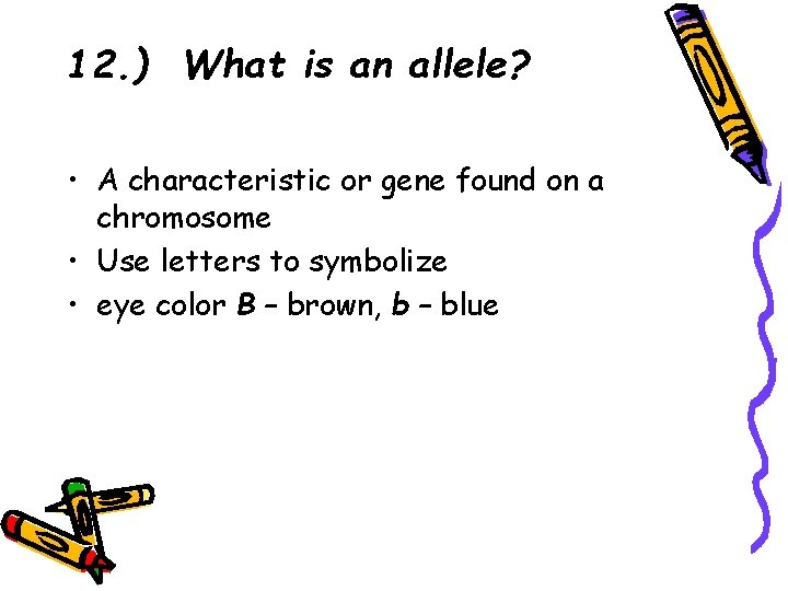 12. ) What is an allele? • A characteristic or gene found on a