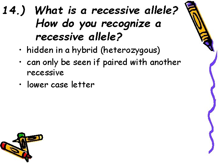 14. ) What is a recessive allele? How do you recognize a recessive allele?