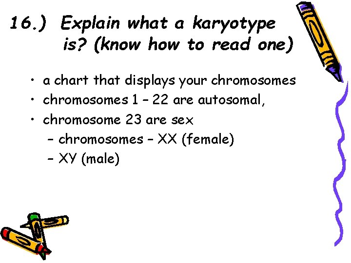 16. ) Explain what a karyotype is? (know how to read one) • a