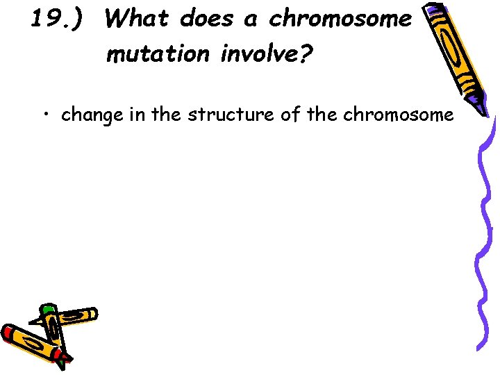 19. ) What does a chromosome mutation involve? • change in the structure of