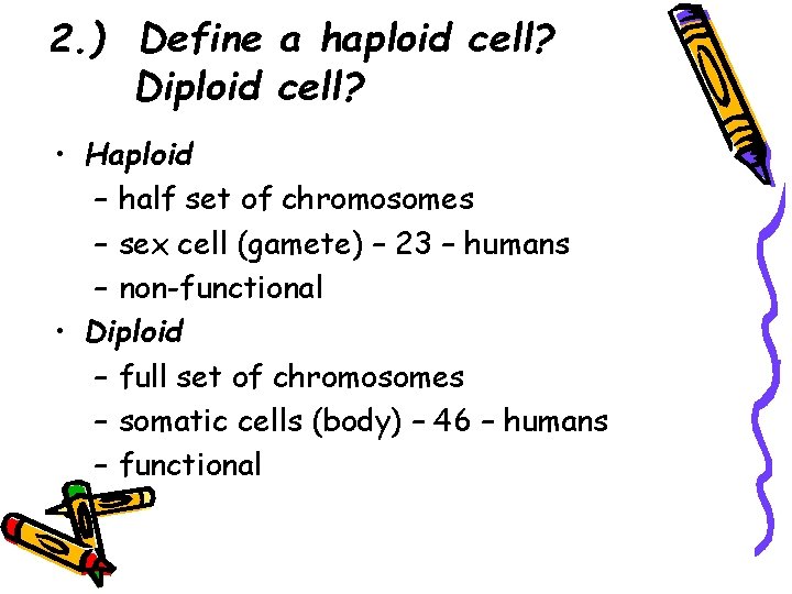 2. ) Define a haploid cell? Diploid cell? • Haploid – half set of