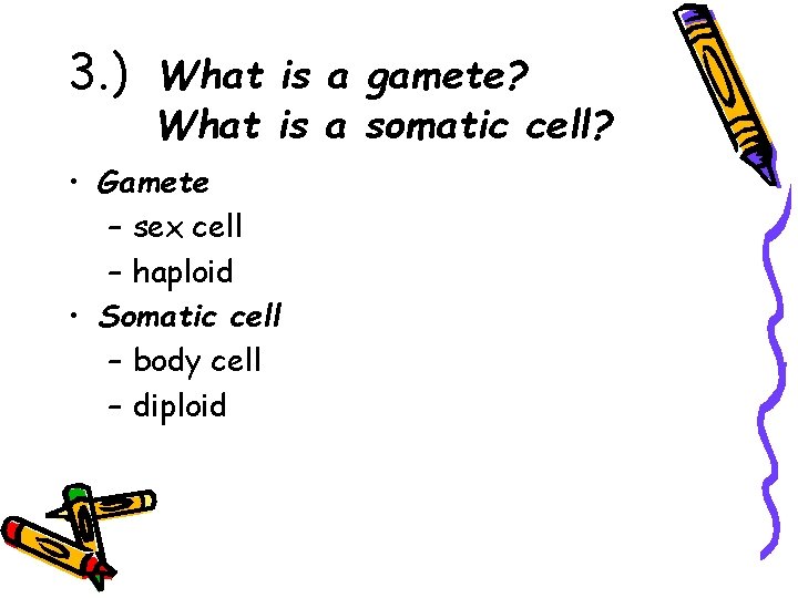 3. ) What is a gamete? What is a somatic cell? • Gamete –