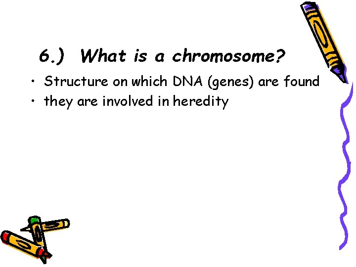 6. ) What is a chromosome? • Structure on which DNA (genes) are found