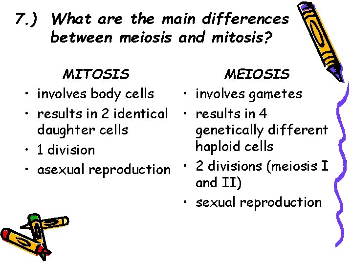7. ) What are the main differences between meiosis and mitosis? • • MITOSIS