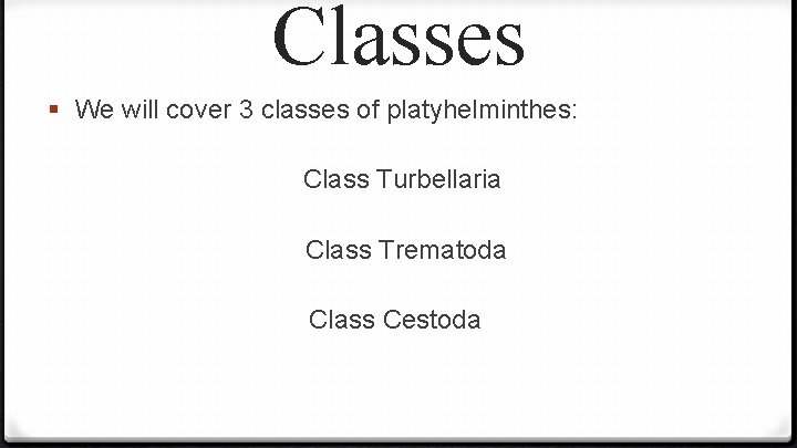 Classes § We will cover 3 classes of platyhelminthes: Class Turbellaria Class Trematoda Class