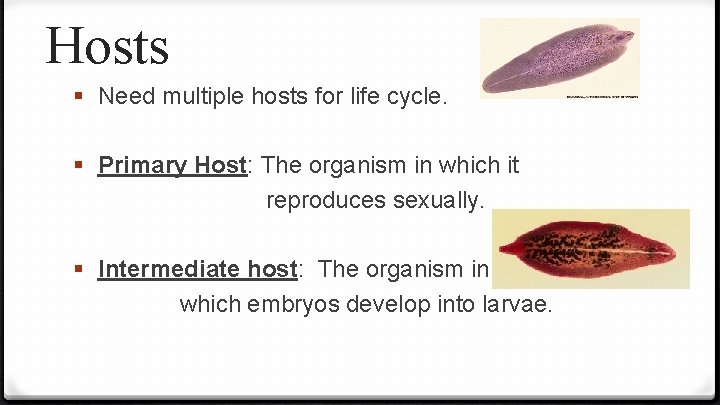 Hosts § Need multiple hosts for life cycle. § Primary Host: The organism in