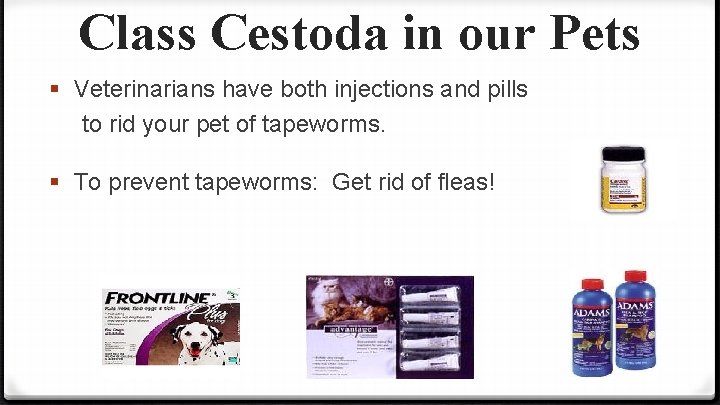 Class Cestoda in our Pets § Veterinarians have both injections and pills to rid