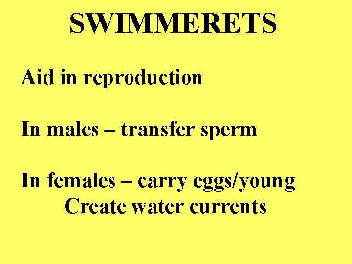 SWIMMERETS Aid in reproduction In males – transfer sperm In females – carry eggs/young