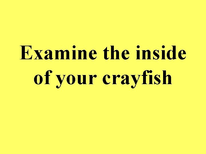 Examine the inside of your crayfish 