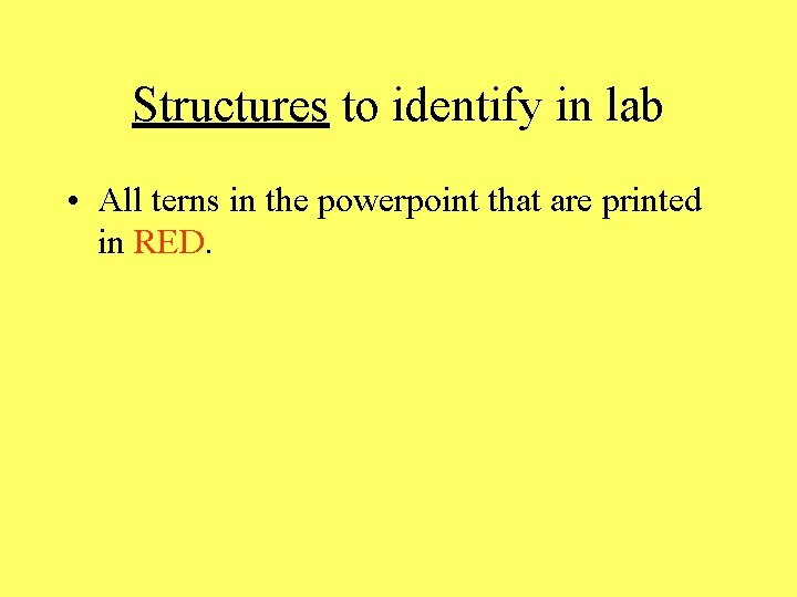 Structures to identify in lab • All terns in the powerpoint that are printed