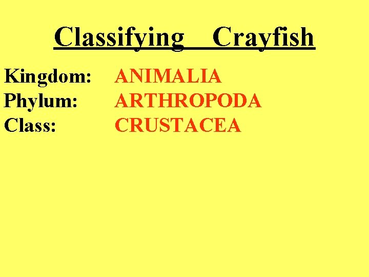 Classifying Kingdom: Phylum: Class: Crayfish ANIMALIA ARTHROPODA CRUSTACEA 