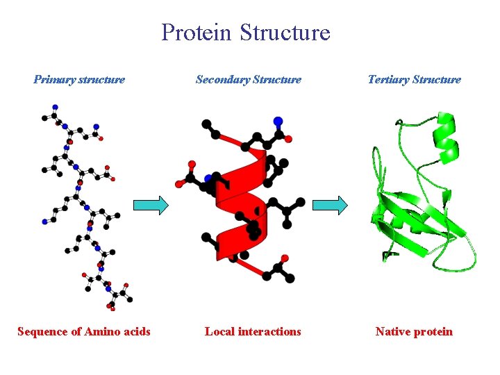 Bioinformatics From a Sequence to the Structure OUTLINE