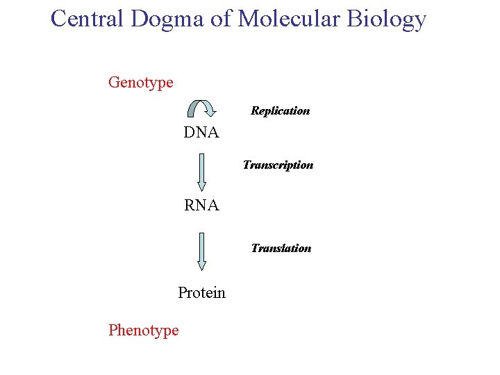 Bioinformatics From a Sequence to the Structure OUTLINE
