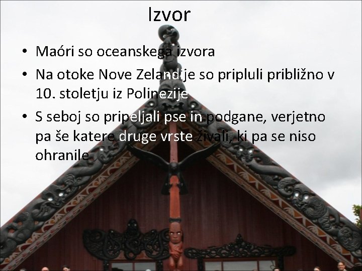 Izvor • Maóri so oceanskega izvora • Na otoke Nove Zelandije so pripluli približno