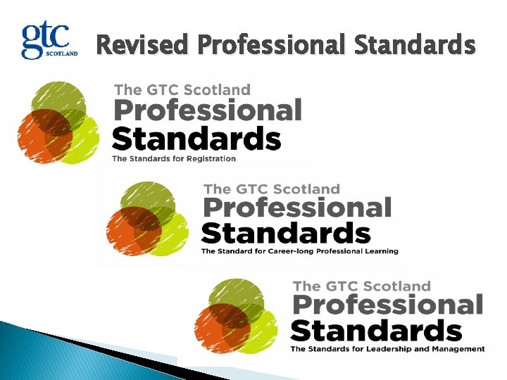 Revised Professional Standards 