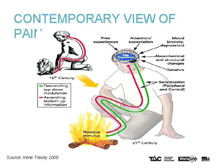 CONTEMPORARY VIEW OF PAIN Source: Irene Tracey 2008 