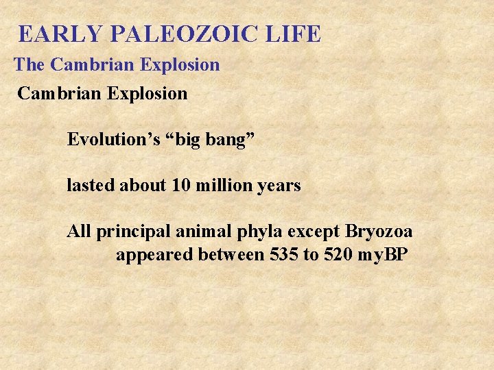 EARLY PALEOZOIC LIFE The Cambrian Explosion Evolution’s “big bang” lasted about 10 million years