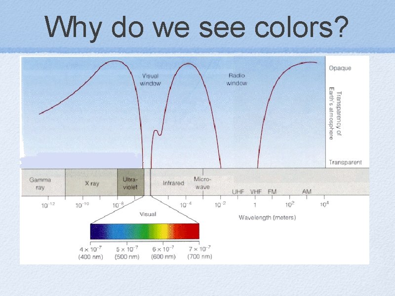 Why do we see colors? 