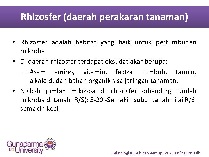 Rhizosfer (daerah perakaran tanaman) • Rhizosfer adalah habitat yang baik untuk pertumbuhan mikroba •