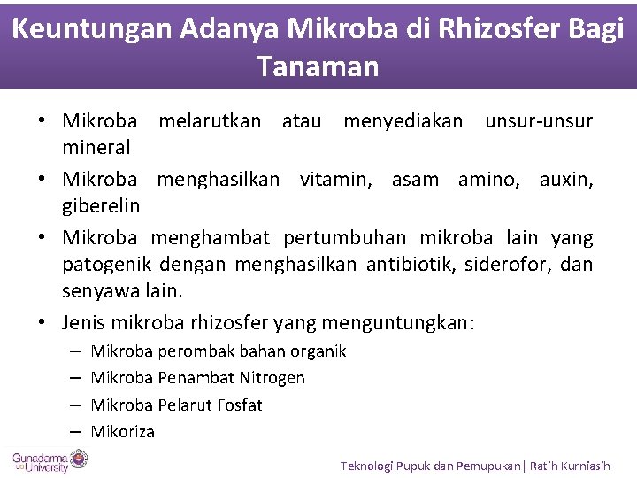 Keuntungan Adanya Mikroba di Rhizosfer Bagi Tanaman • Mikroba melarutkan atau menyediakan unsur-unsur mineral