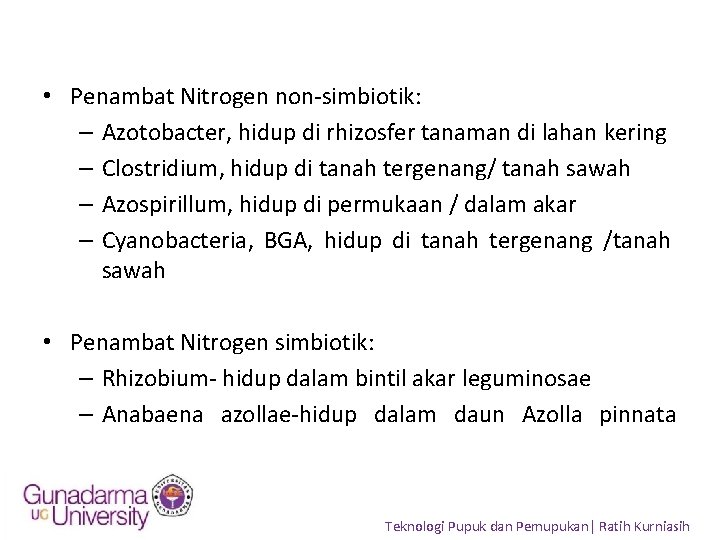  • Penambat Nitrogen non-simbiotik: – Azotobacter, hidup di rhizosfer tanaman di lahan kering