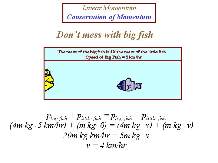 Linear Momentum Conservation of Momentum Don’t mess with big fish pbig fish + plittle