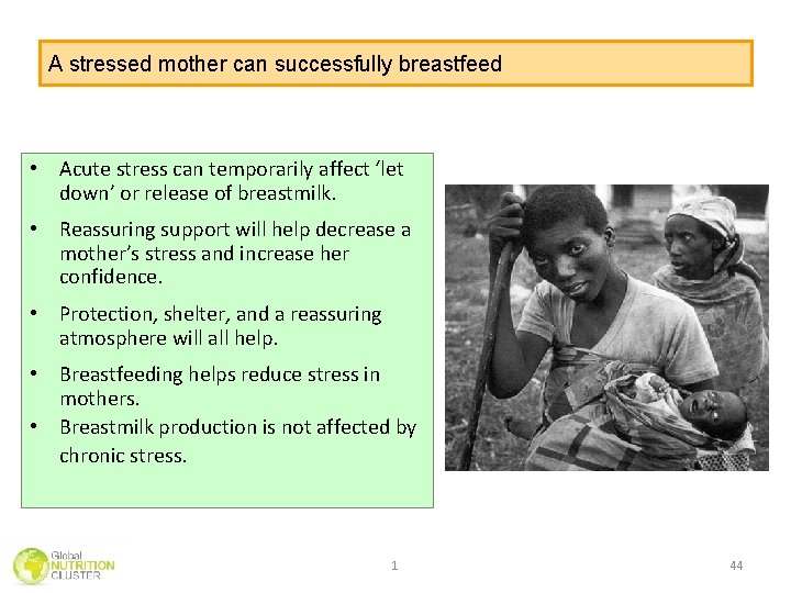 A stressed mother can successfully breastfeed • Acute stress can temporarily affect ‘let down’ A stressed mother can successfully breastfeed • Acute stress can temporarily affect ‘let down’
