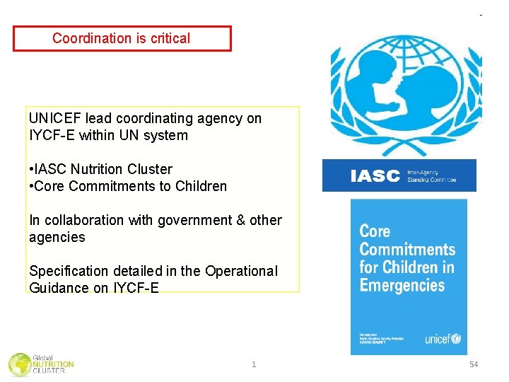 Coordination is critical UNICEF lead coordinating agency on IYCF-E within UN system • IASC Coordination is critical UNICEF lead coordinating agency on IYCF-E within UN system • IASC